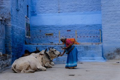 Rundreise in Indien Rundreise in Indien