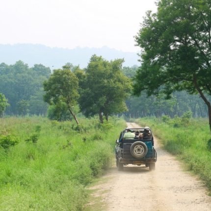 Corbett-Nationalpark- 14 Tage Abenteuer in Indien